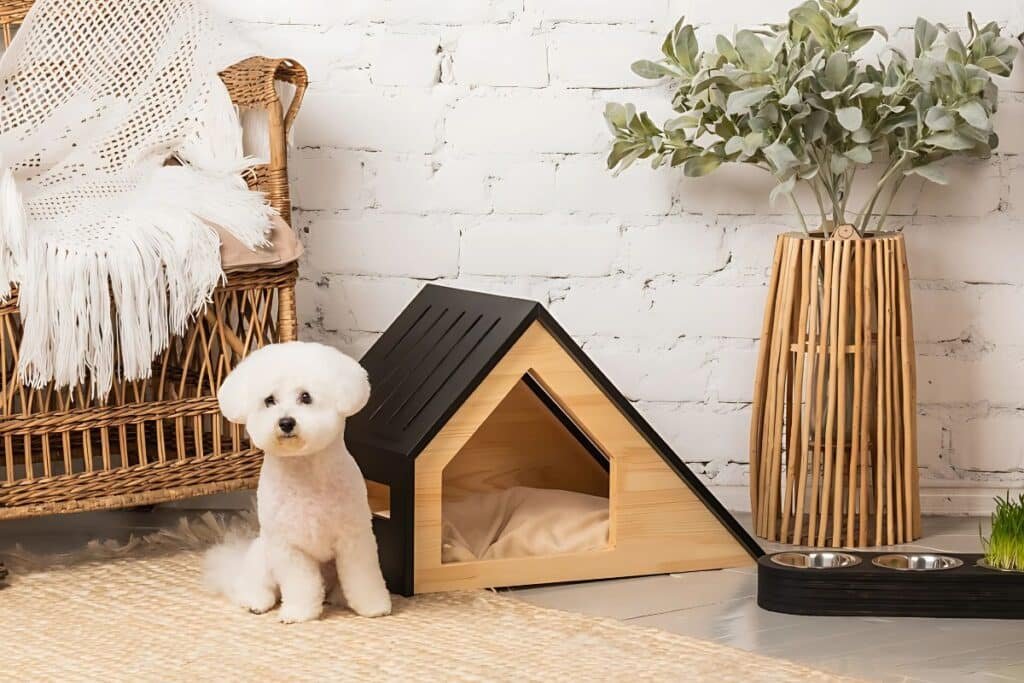 interior design for pets