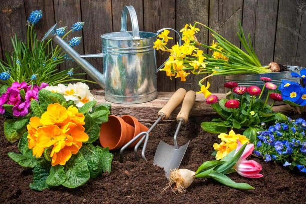 backyard gardening ideas