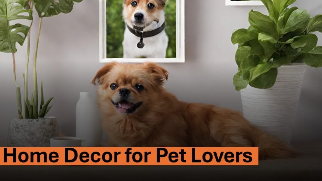 Home Decor for Pet Lovers