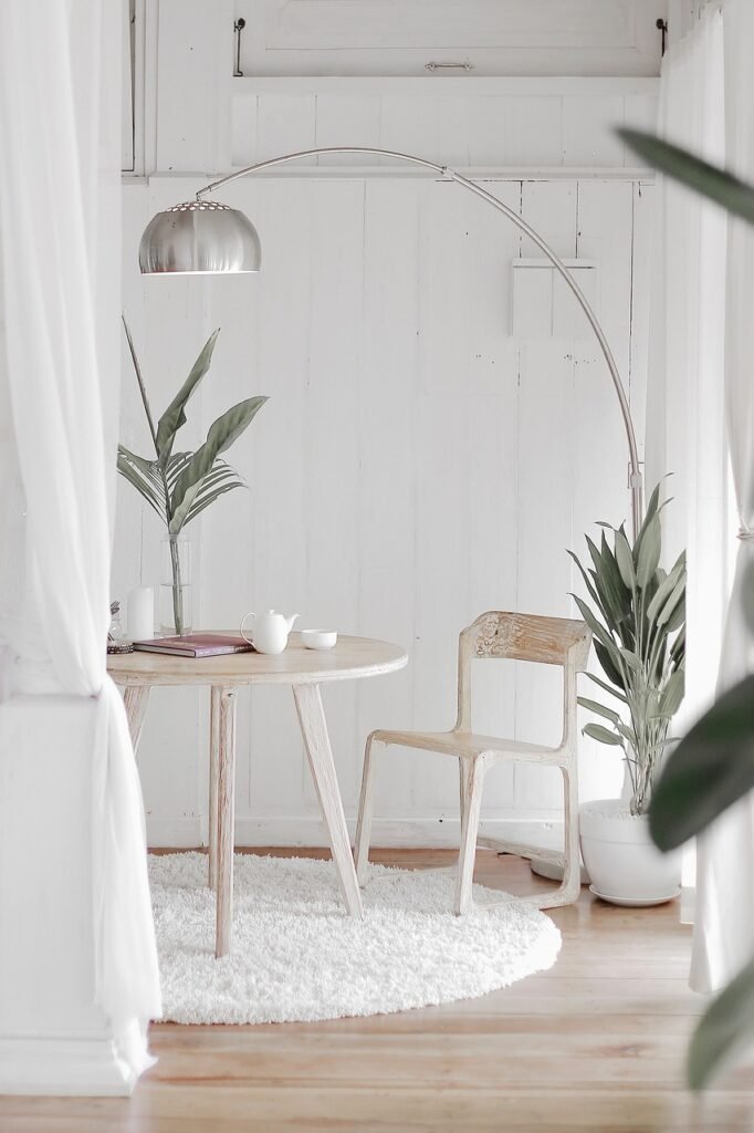 Shiplap Walls with table, chair, tress, rug in the room