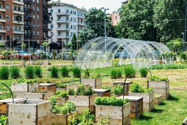 gardening with water sprinkler  