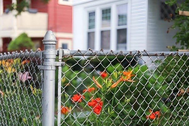 a fence is constructed surrounding the garden for protecting garden from Squirrels.